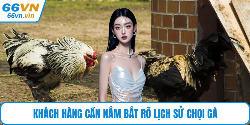 Khách hàng cần nắm bắt rõ lịch sử chọi gà