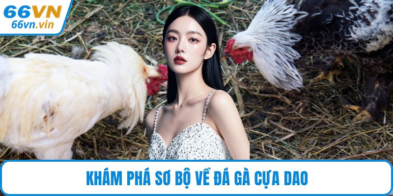 Khám phá sơ bộ về đá gà cựa dao