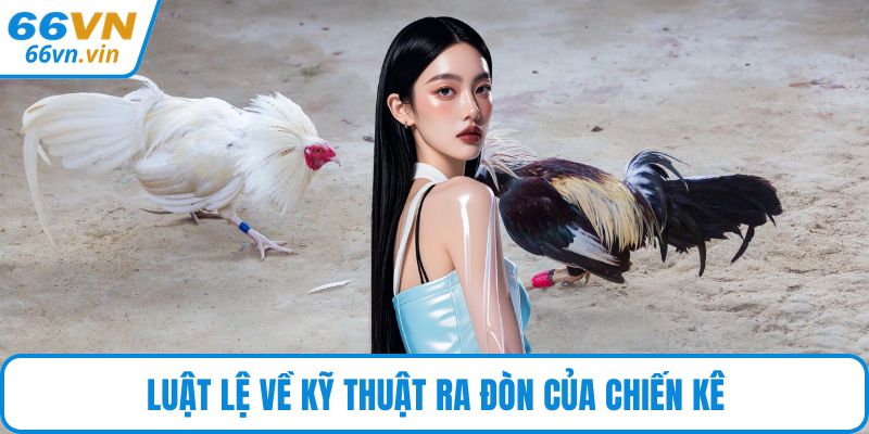 Luật lệ về kỹ thuật ra đòn của chiến kê