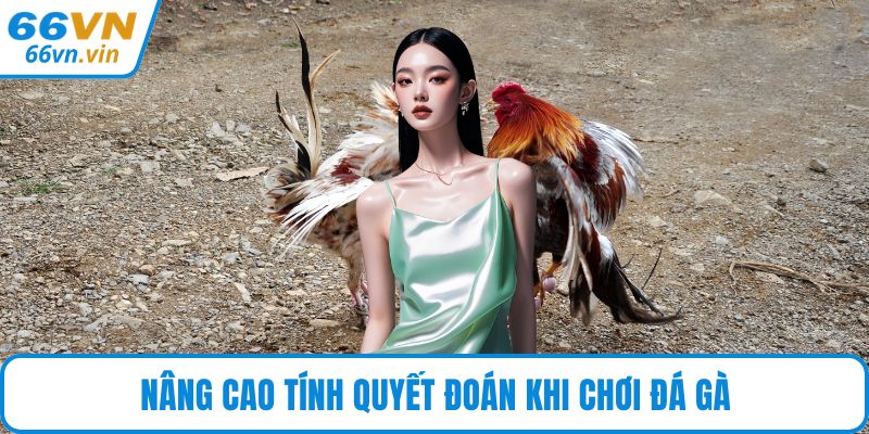 Nâng cao tính quyết đoán khi chơi đá gà