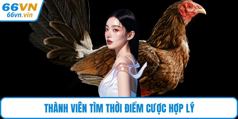 Thành viên tìm thời điểm cược hợp lý