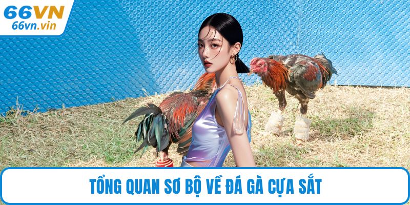 Tổng quan sơ bộ về đá gà cựa sắt