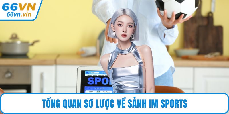 Tổng quan sơ lược về sảnh IM Sports
