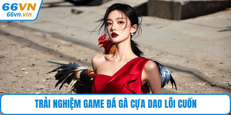 Trải nghiệm game đá gà cựa dao lôi cuốn